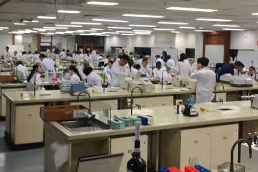 Students in science lab at the University of Sydney