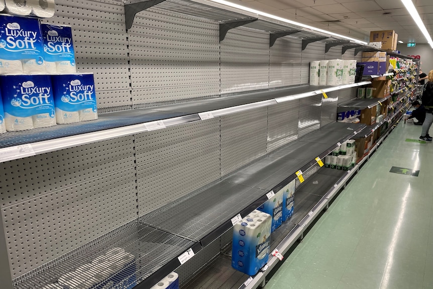 Supermarket shelf almost completely empty, except for one packet of toilet paper