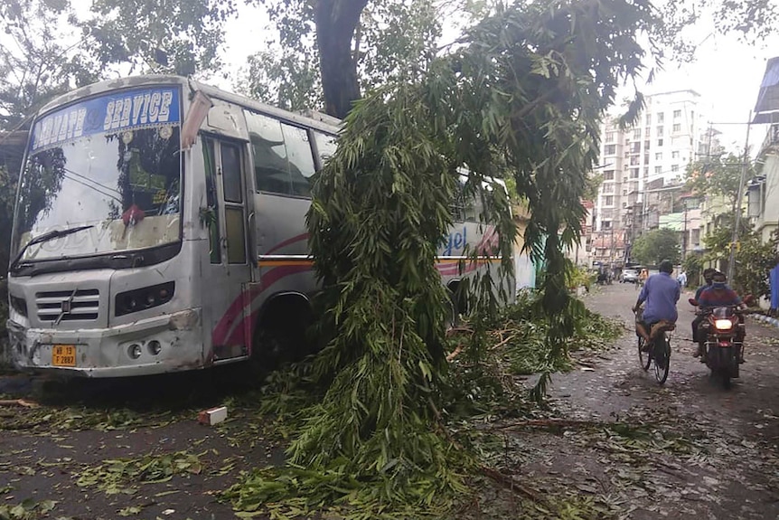 Commuters in Kolkata move past a tree hanging low following a cyclone.