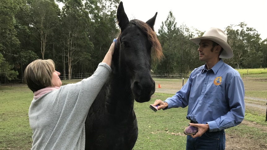 Theresa Hanich and Ben Skerrett grooming Reijker.