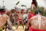 A group of Aboriginal male dancers perform at the WugalOra ceremony.