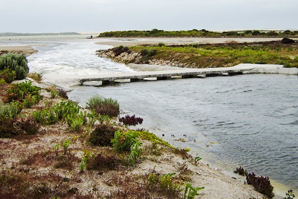 Water flows down a creek through a stone drainage outlet, with vegetation on the creek's banks.