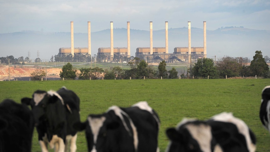 Hazelwood Power Station in the Latrobe Valley