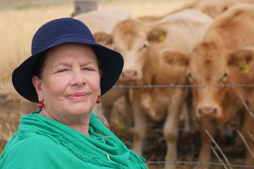 Oakey cattle stud owner Dianne Priddle is standing in front of several cattle behind wire.