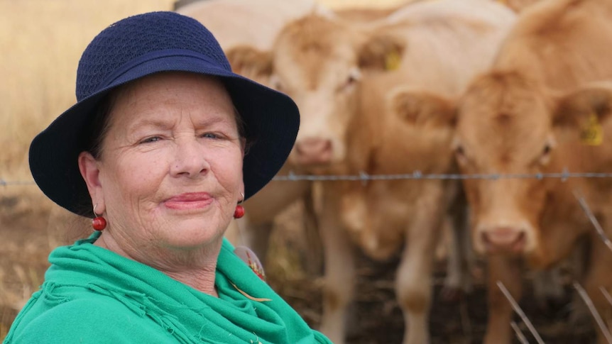 Oakey cattle stud owner Dianne Priddle is standing in front of several cattle behind wire.