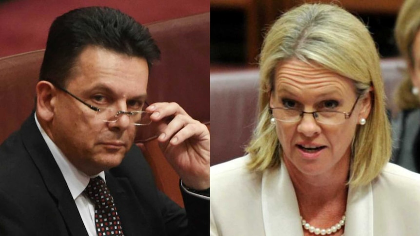 A composite image of Nick Xenophon and Fiona Nash in Parliament.