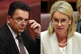 A composite image of Nick Xenophon and Fiona Nash in Parliament.