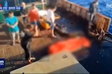 South Korean broadcaster shows Indonesian crew member in body bag being thrown overbroad from Chinese fishing vessel