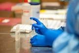 A health worker wears blue latex gloves and draws some coronavirus vaccine from a vial with a syringe.