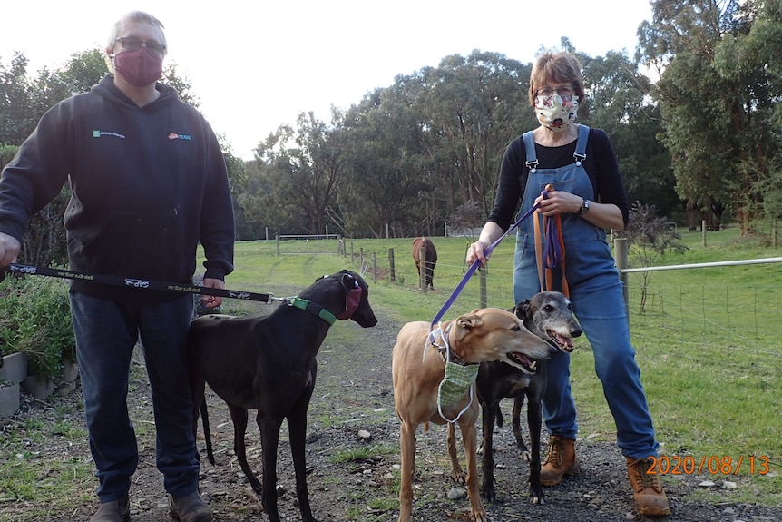 A couple with three pet greyhounds