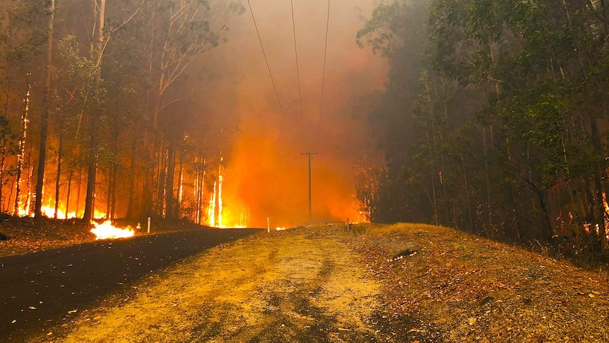 A wall of flames along a road.