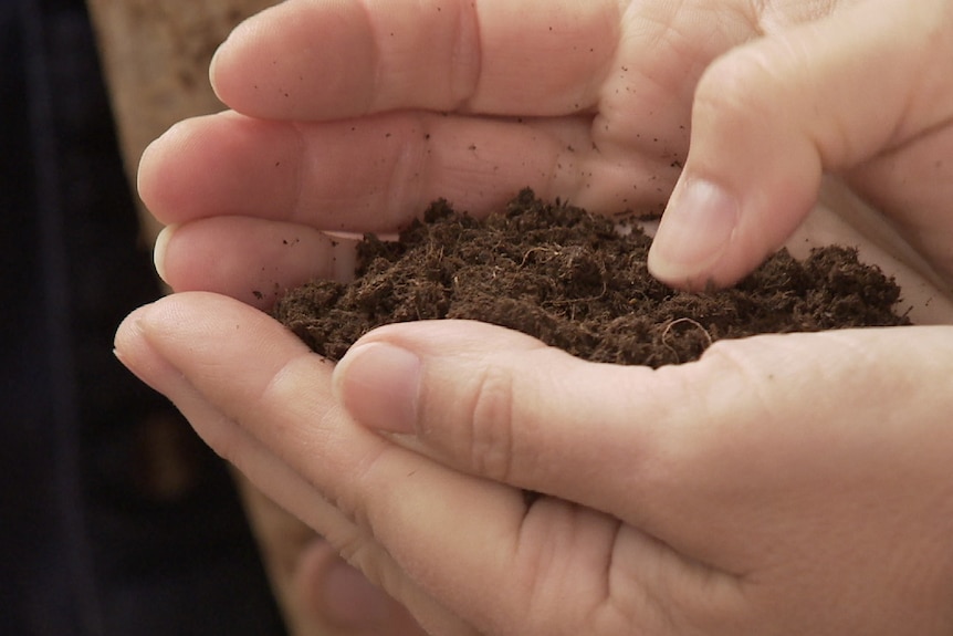 Hands cupping soil.