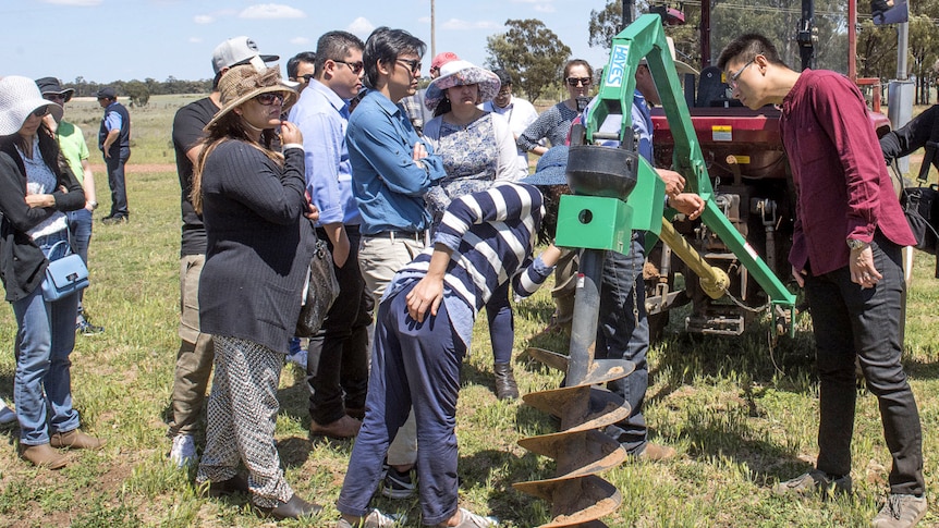 A group of GP registrars gather around the back of a tractor during a farm experiential day.