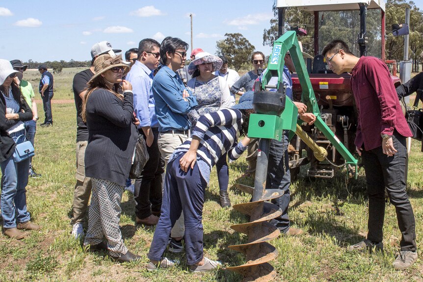 A group of GP registrars gather around the back of a tractor during a farm experiential day.
