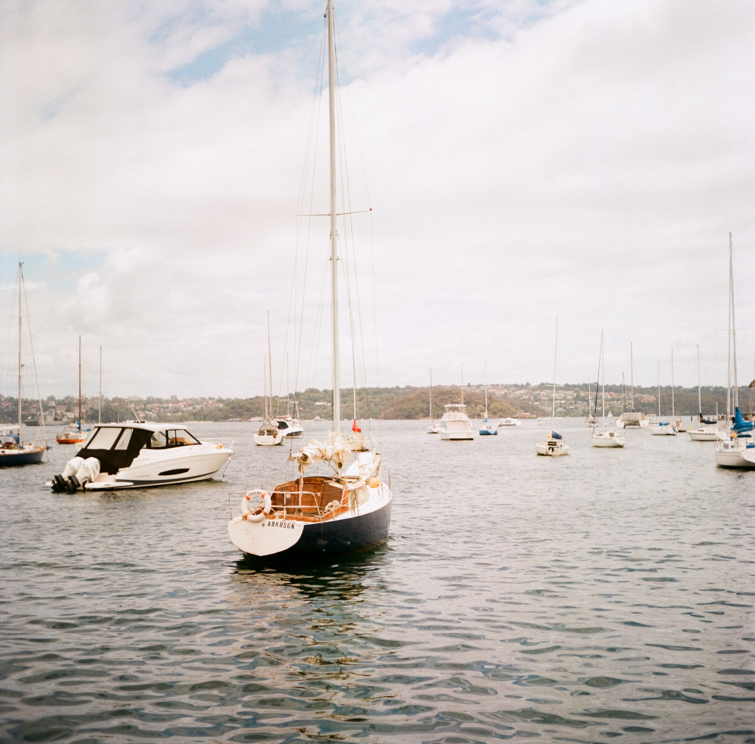 A square image of boats on Sydney Harbour, photographed on a medium format film cameraa