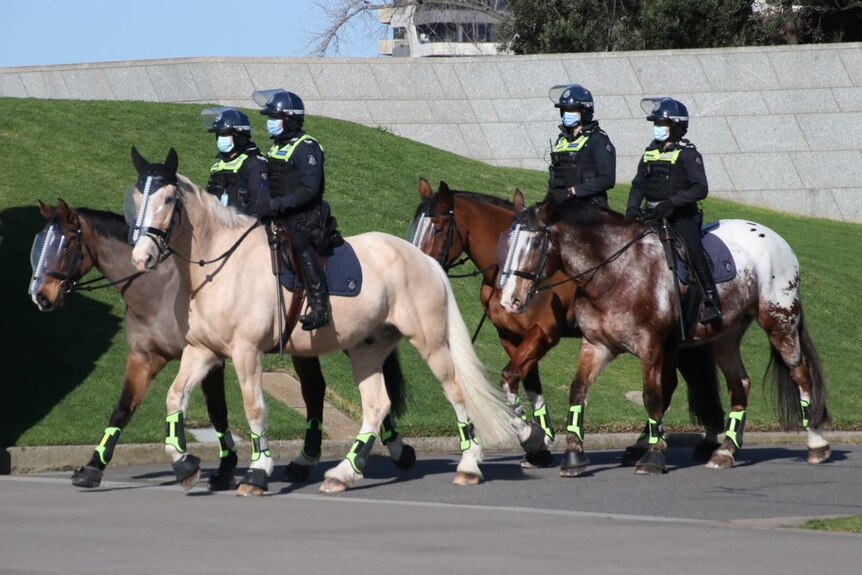 Four Victoria Police riding horses.