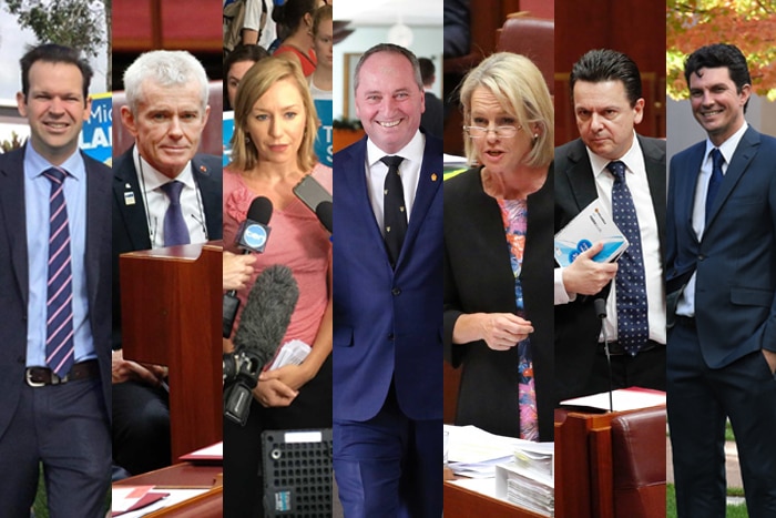 A composite image of Matt Canavan, Malcolm Roberts, Larissa Waters, Barnaby Joyce, Fiona Nash, Nick Xenophon and Scott Ludlam.