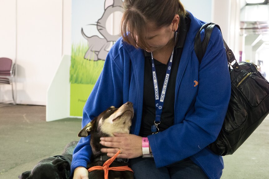 Saxon the rescued working dog enjoys a pat from Adelaide Show visitor Katherine Debrenni.