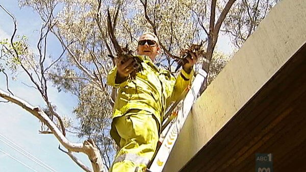 Canberrans are being urged to clean-up their yards and prepare their homes for the upcoming fire season.