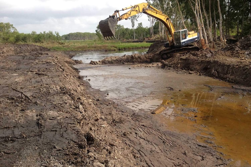 Bulldozer breaking through the Mungalla wetlands earth wall in 2013