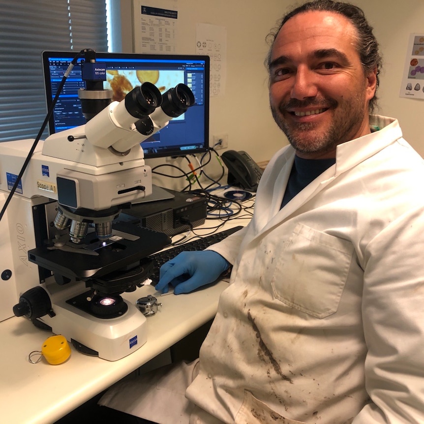 A man in a white coat sits at a table, about to peer into a microscope.