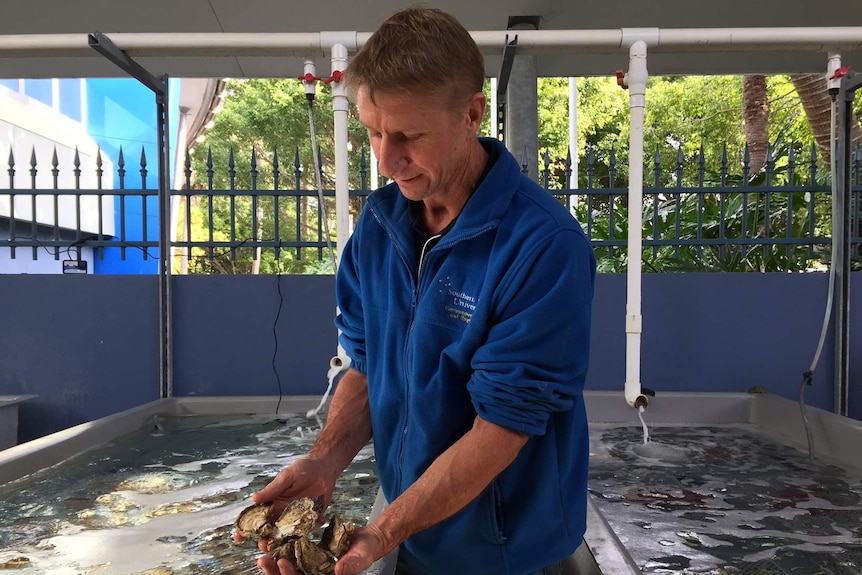 Ken Cowden from the National Marine Science Centre