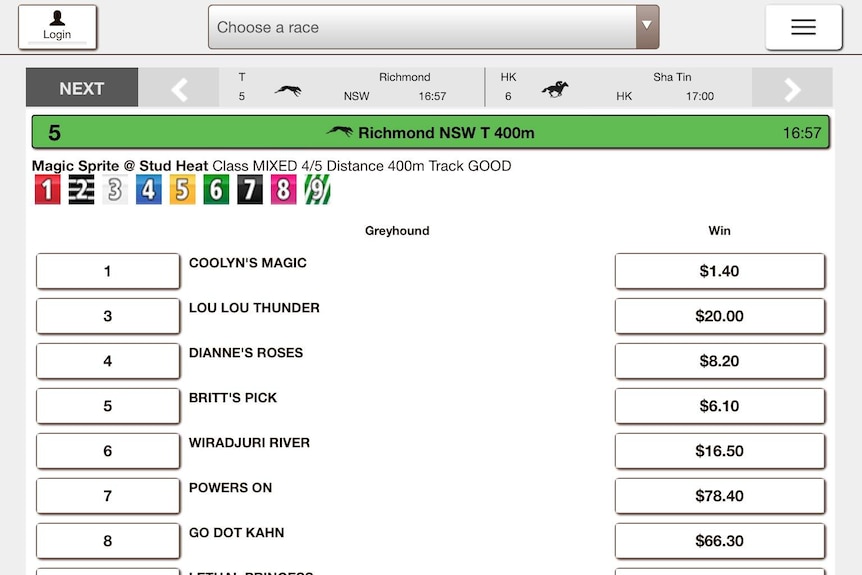 A screenshot from GiiUp, the Australian horseracing virtual betting app, showing options to make a coin bet or cash bet.