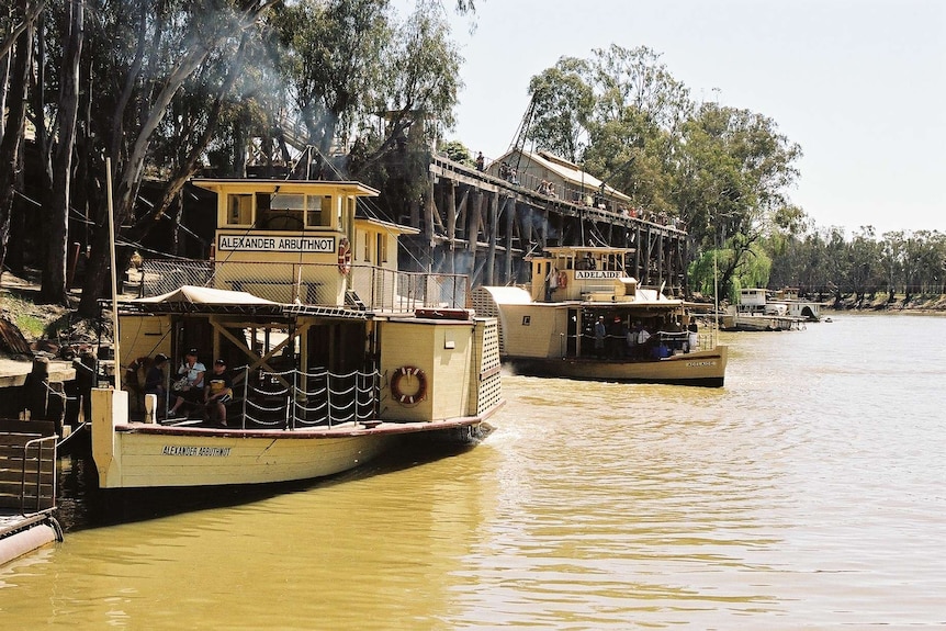 Two large yellow paddle steamers sit on the Murray River.