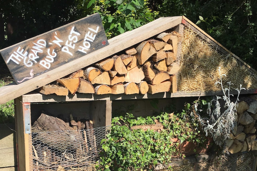 A large wooden structure with logs, stones and plants in it and a sign that says The Grand Bug N Pest Hotel