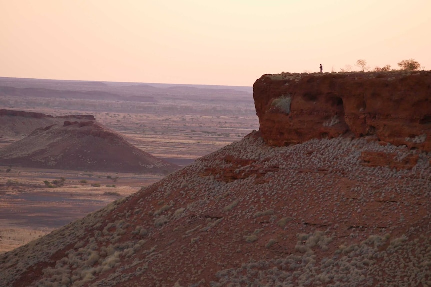 A man looks out over the Balgo Hills.