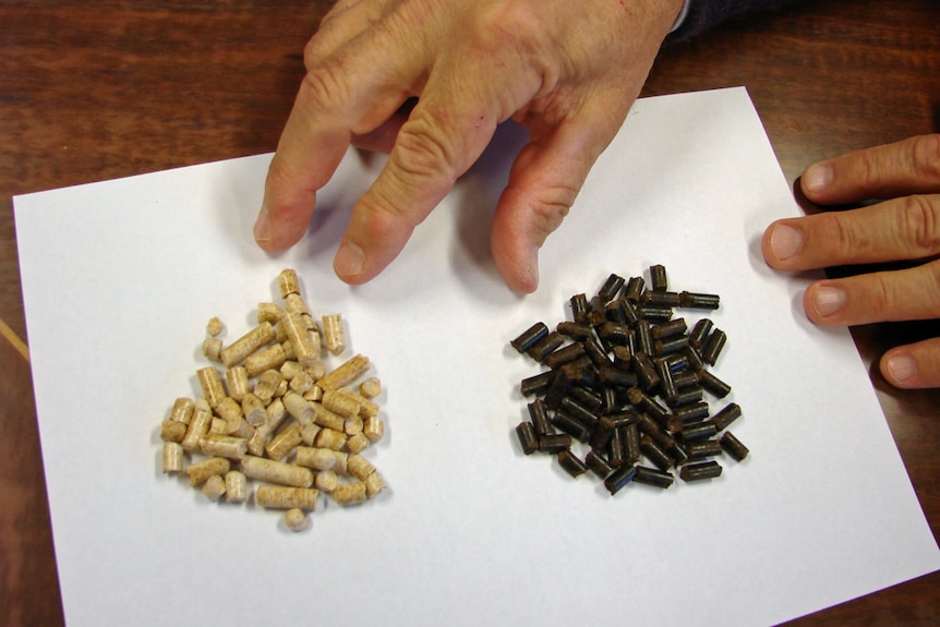 Standard white wood pellets are inferior to the energy dense black wood pellets new Forests is looking at making.