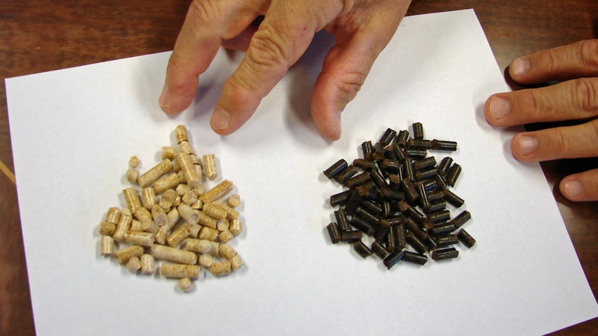 Standard white wood pellets are inferior to the energy dense black wood pellets new Forests is looking at making.