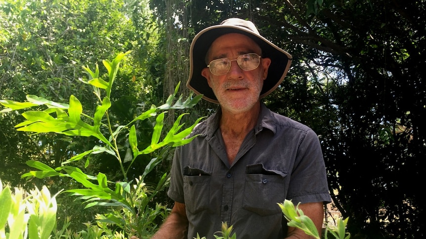 Yuruga Nursery founder Peter Radke handles a native tree sapling