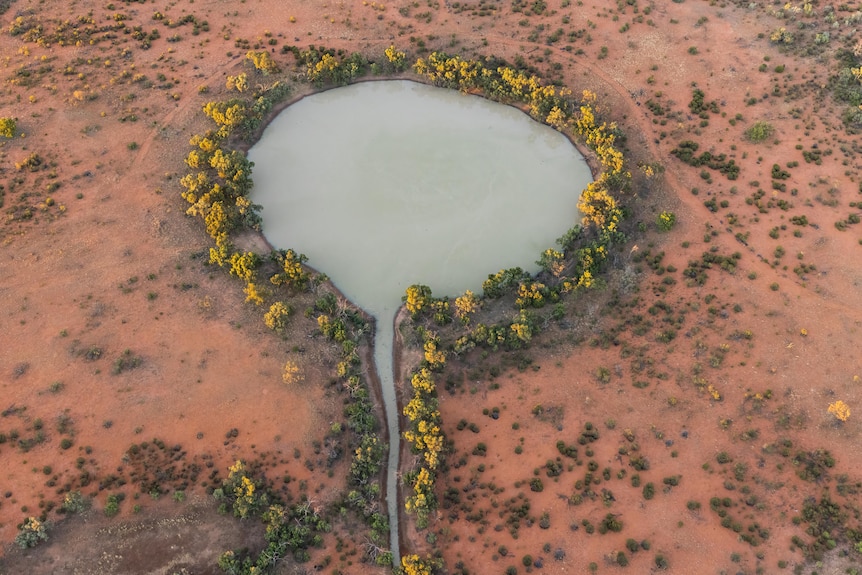 A round waterhole flanked by vegetation and red earth with a tiny creek coming from it, viewed from above.
