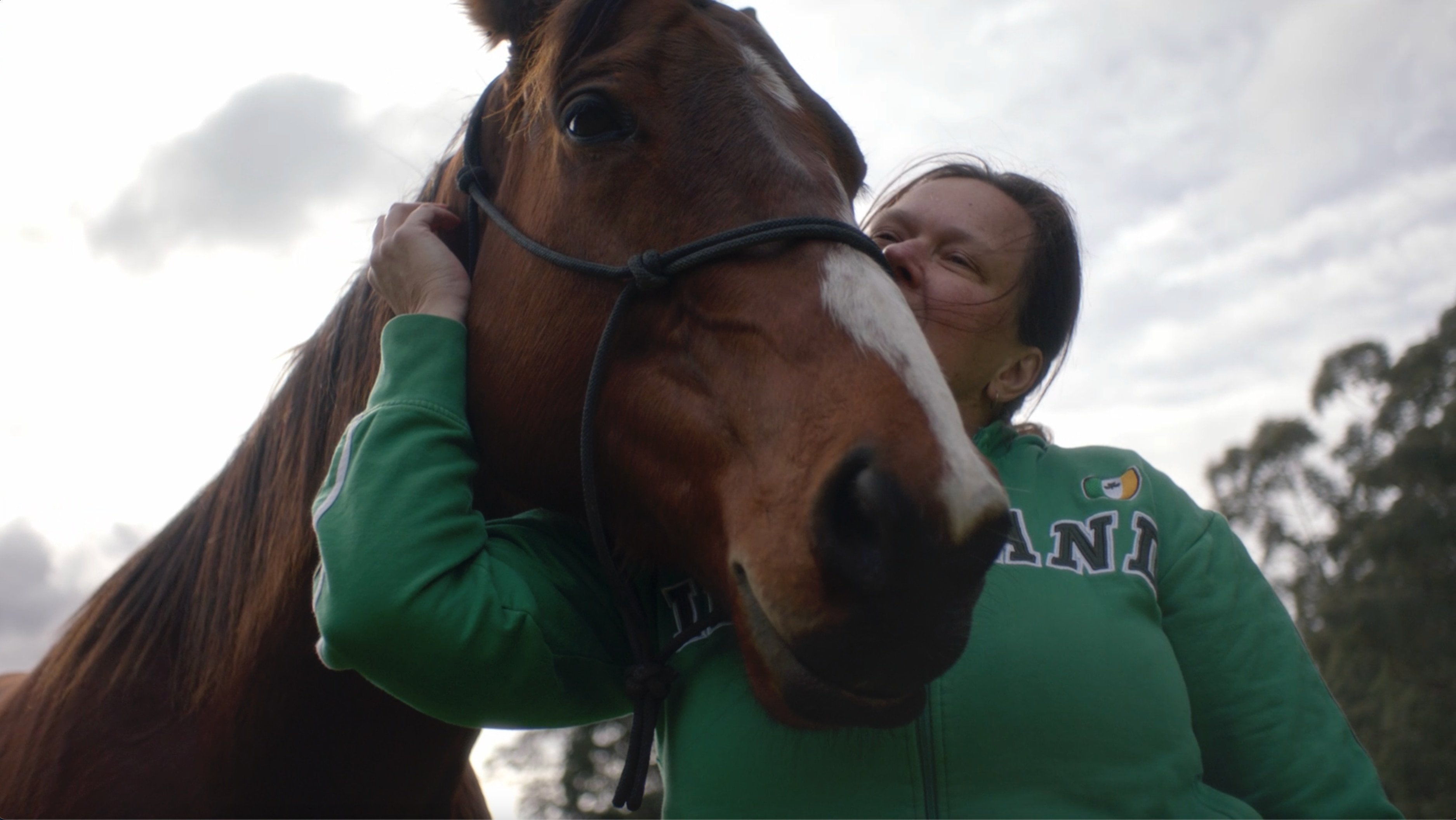 Horse nuzzles over woman's shoulder