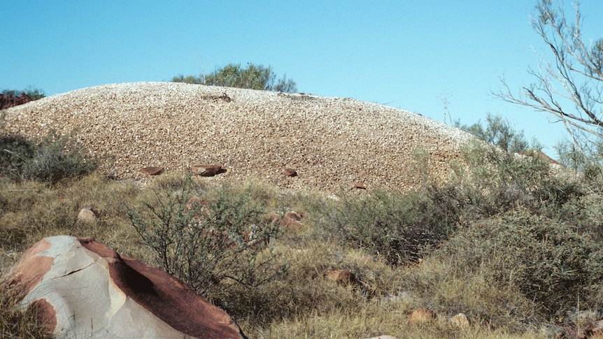 large mound in the middle of grassy tussocks and boulders