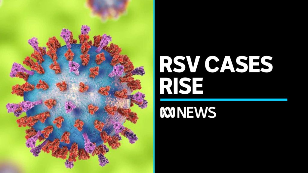 Most states see huge spike in cases of RSV this year - ABC News