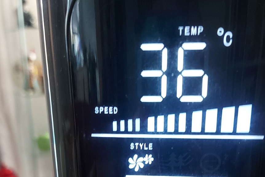 Temperature gauge on portable fan