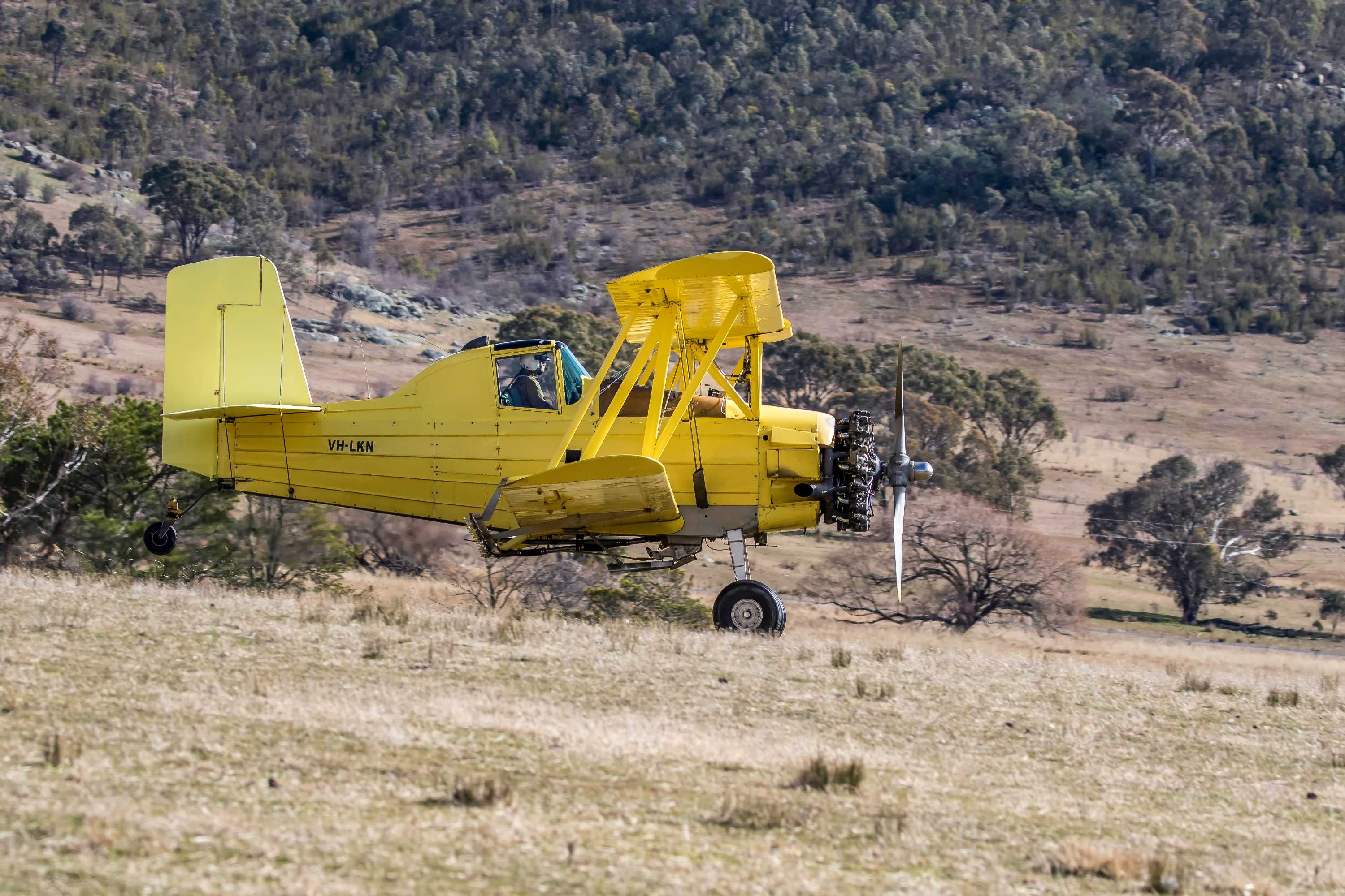 Pilot escapes injury in light plane crash near Tharwa - ABC News