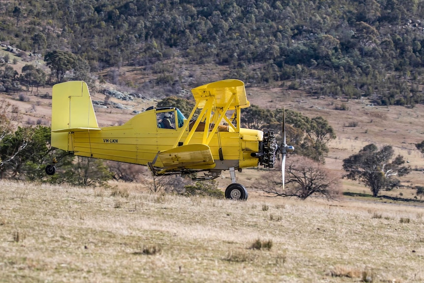 Tharwa light plane