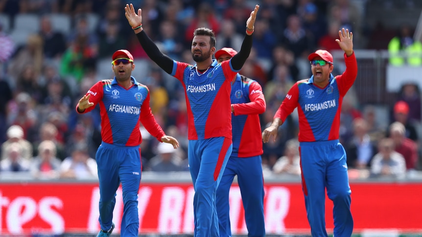 A group of Afghanistan male cricketers appeal for a wicket against England at the 2019 World Cup.