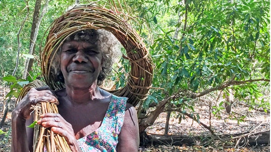 Milingimbi artist Lily Roy harvesting grass and wood to make weaved baskets in Arnhem Land