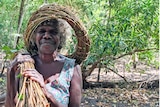 Milingimbi artist Lily Roy harvesting grass and wood to make weaved baskets in Arnhem Land