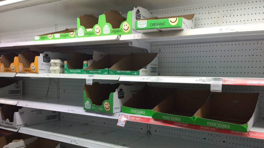 Supermarket shelves normally stocked with eggs, sit empty