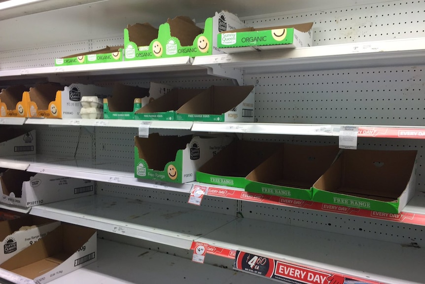 Supermarket shelves normally stocked with eggs, sit empty