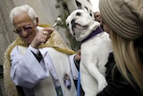 Dog blessed by priest