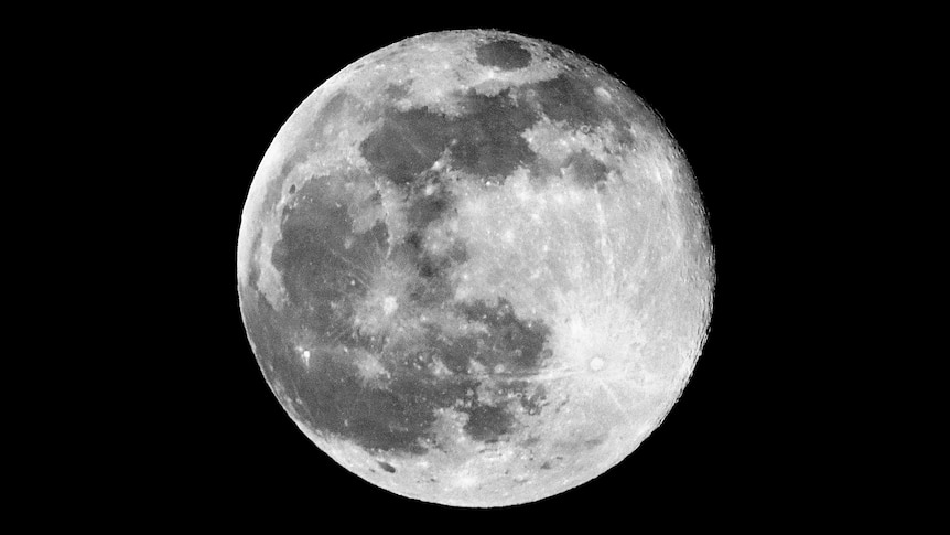 A detailed photograph of a full moon in which craters are visible.