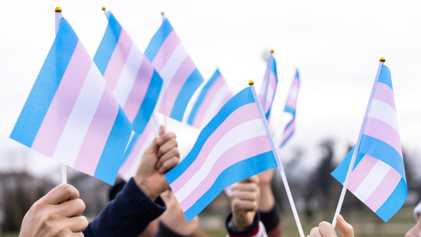 Hands holding transgender flags.