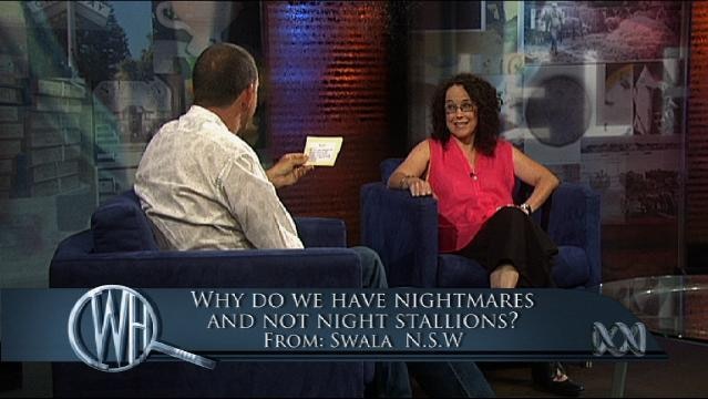 Presenters sit on set, text overlay reads "Why do we have nightmares and not night stallions?"