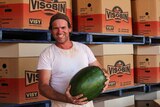 a man holding a watermelon in front of cardboard boxes